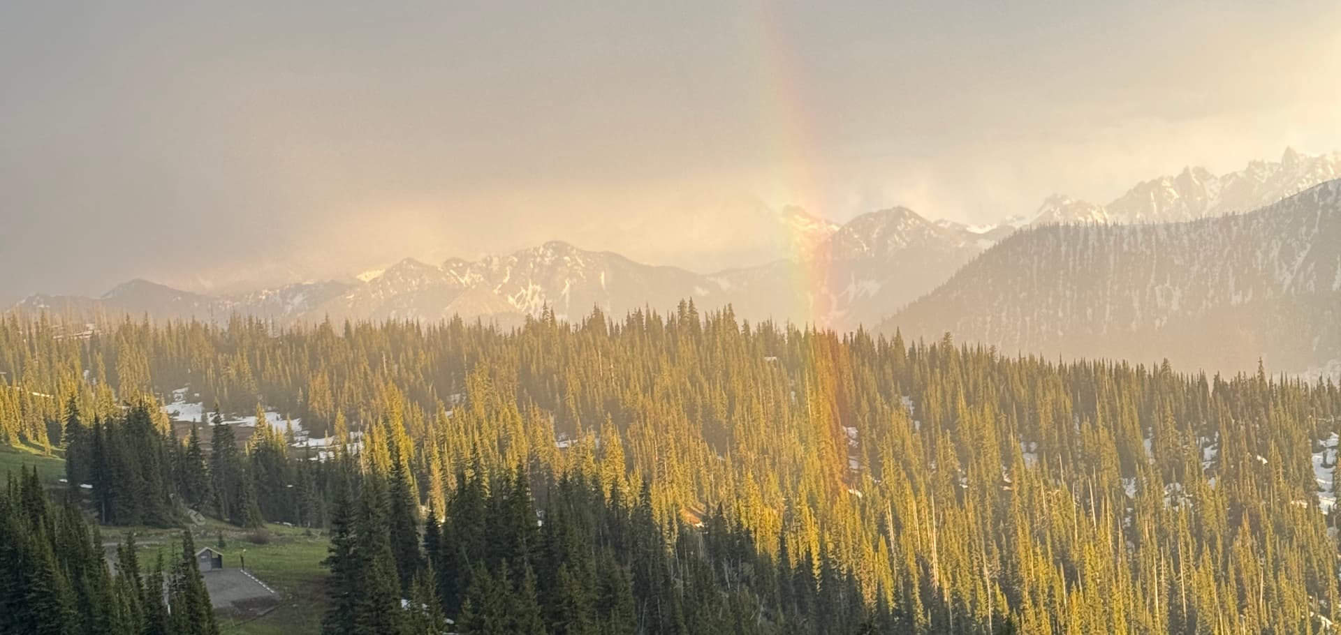 Cover Image for Baseweight Canvas